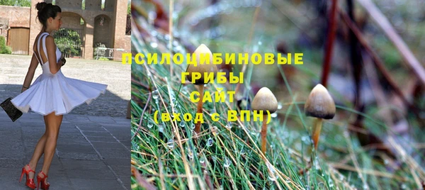 прущий лед Ельня