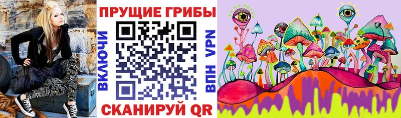 Псилоцибиновые грибы ЛСД  Купить  Куса 